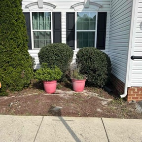 Bush Trimming by In and Out reviewed on June 13, 2022