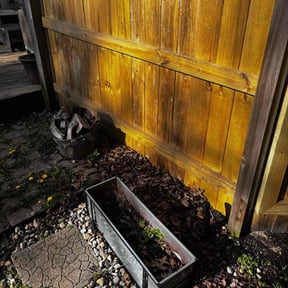 Cleanups by Contreras Outdoors reviewed on August 14, 2024