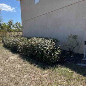 Bush Trimming by Owen Lawn Service reviewed on October 23, 2024