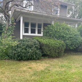 Bush Trimming by Eilish Scaping reviewed on April 12, 2022