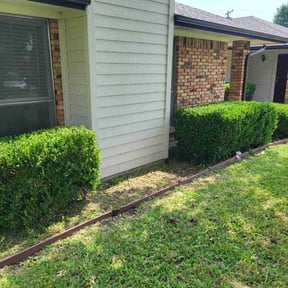 Bush Trimming by Greenxblades reviewed on May 1, 2025