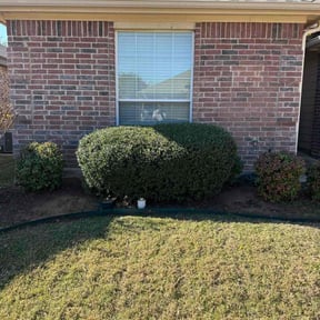 Bush Trimming by C & T Lawn Service reviewed on January 3, 2022