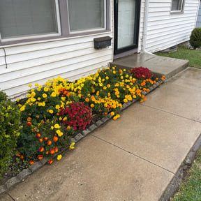 Flower Bed Weeding by JD Inc. reviewed on December 15, 2024