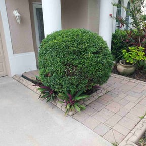 Landscaping by Urban Psych enterprises reviewed on July 30, 2022