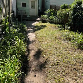 Bush Trimming by Hinks Lawn Care reviewed on September 7, 2024