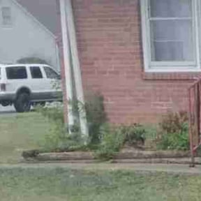 Flower Bed Weeding by The Lawn Cypress reviewed on May 9, 2022