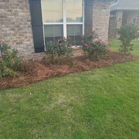 Cleanups by Mow-Town reviewed on June 20, 2020