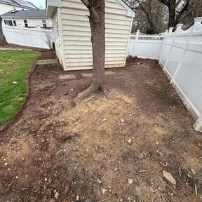 Cleanups by Lawn services JAV reviewed on June 2, 2025
