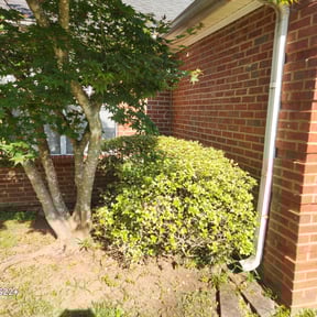 Bush Trimming by Divine Cutz reviewed on July 24, 2022