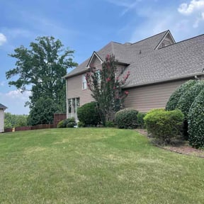 Bush Trimming by T &O Landscape Service LLC reviewed on June 3, 2025