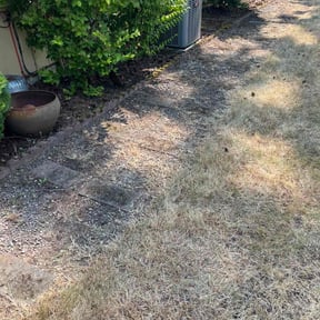 Flower Bed Weeding by Marvin's Services LLC reviewed on October 8, 2022