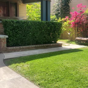 Bush Trimming by Davenport Landscaping reviewed on May 13, 2022