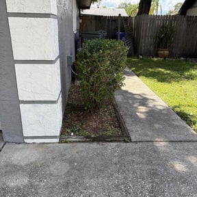 Bush Trimming by LSLTDallas/FortWorthTruGreen reviewed on March 4, 2025