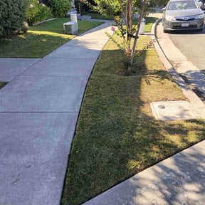 Bush Trimming by Biggs customs reviewed on April 13, 2022