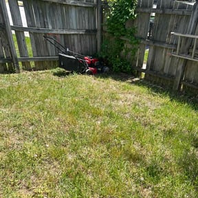 Cleanups by Clutch lawn service inc reviewed on September 21, 2021