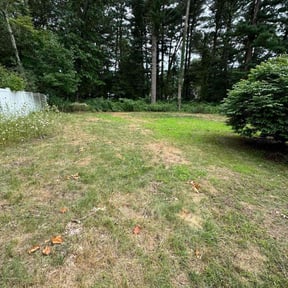 Bush Trimming by Ochoa Landscape and Irrigaton LLC reviewed on April 13, 2022