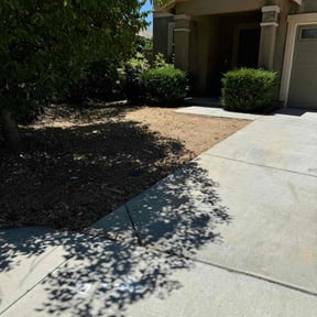 Leaf Removal by CJ Landscaping reviewed on June 16, 2022