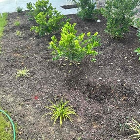Flower Bed Weeding by Electric Cut Lawn Care LLC reviewed on December 20, 2024