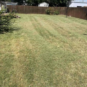 Cleanups by Ridgewood Landscape Management llc. reviewed on November 11, 2023