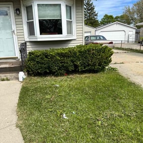 Bush Trimming by Tjs lawn care LLC, reviewed on June 19, 2022