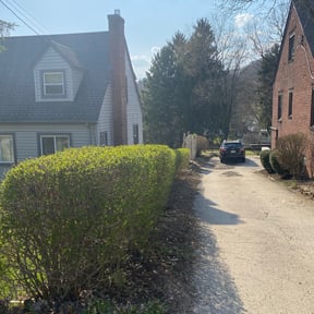 Bush Trimming by To The Rescue Landscaping and Hurricane Clean Up reviewed on May 20, 2022