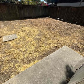 Leaf Removal by Tikitiki Garden Service reviewed on December 31, 2024