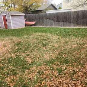 Leaf Removal by Brett's Lawn Service reviewed on October 19, 2021