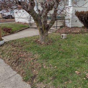Leaf Removal by Andy’s Lawn Service reviewed on May 18, 2022