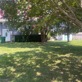 Bush Trimming by Rockville Landscaping reviewed on June 25, 2025