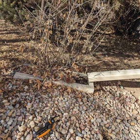 Bush Trimming by MS Professional Solutions reviewed on March 6, 2022