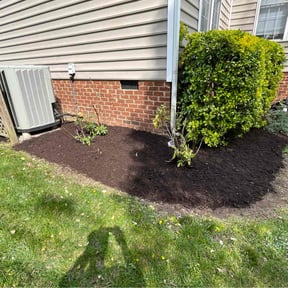 Mulching by Kulture lawn care reviewed on June 6, 2022
