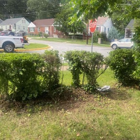 Bush Trimming by Express Innovations reviewed on May 17, 2022