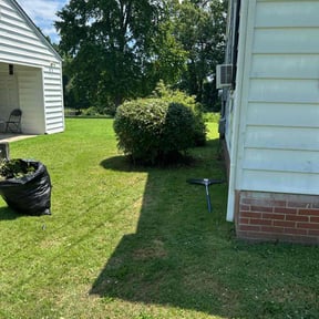Bush Trimming by J&M Landscaping reviewed on May 2, 2025