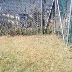 Cleanups by Collins Lawn Care reviewed on June 18, 2020