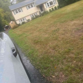 Bush Trimming by Da Munchez/ High 5 landscaping reviewed on October 18, 2022