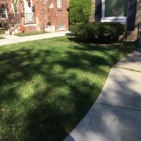 Leaf Removal by Vivid Landscaping LLC reviewed on July 16, 2022