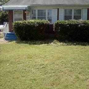Bush Trimming by Superior Lawn Pros LLC reviewed on July 5, 2025