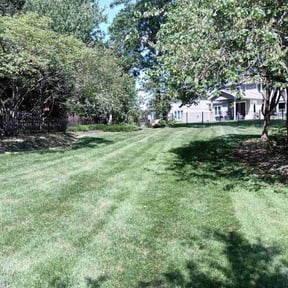 Leaf Removal by JD Inc. reviewed on December 15, 2024