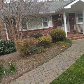 Bush Trimming by B&M Paradise services LLC reviewed on April 8, 2022