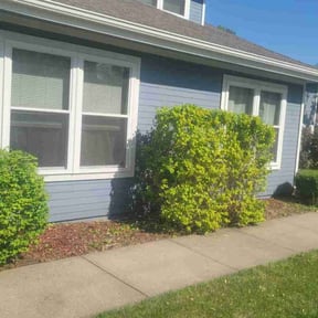 Bush Trimming by Top Lawn Companies, LLC reviewed on June 18, 2022
