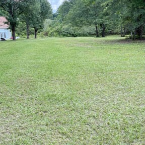 Cleanups by Re Image lawn care reviewed on June 28, 2022