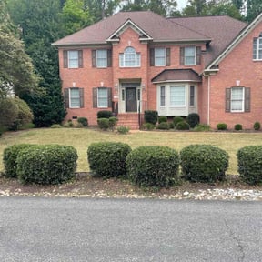 Bush Trimming by Professional Home Maintenance reviewed on April 18, 2022
