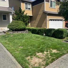 Bush Trimming by Villafuerte & Sons landscape reviewed on May 13, 2022