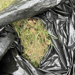 Cleanups by Harvey Handy & Lawn reviewed on May 29, 2025