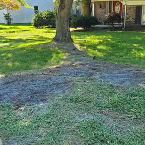 Landscaping by Steve's Lawn Care&More reviewed on June 30, 2025