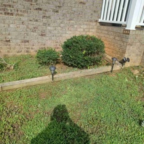 Bush Trimming by Alpha Landscape Company reviewed on December 12, 2024