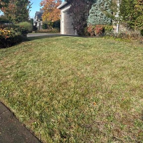Leaf Removal by Top Landscape Maintenance LLC reviewed on April 28, 2025