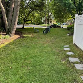 Leaf Removal by Robert Carreras Lawn Care reviewed on July 10, 2022