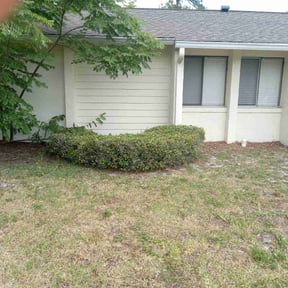 Bush Trimming by ProCutz Landscaping LLC reviewed on May 27, 2025