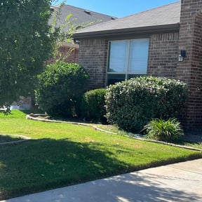 Bush Trimming by Stephens Lawn Care reviewed on July 26, 2022